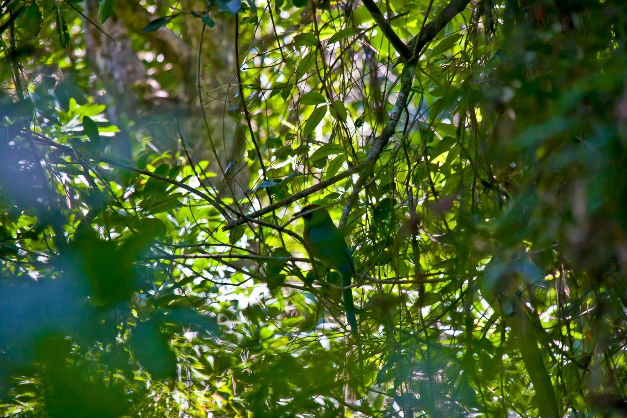 Tierra Guarani Lodge Puerto Iguazú Extérieur photo